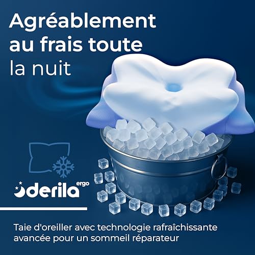 Detalle de Derila Ergo Oreiller Cervical Mémoire de Forme Papillon Rafraîchissant