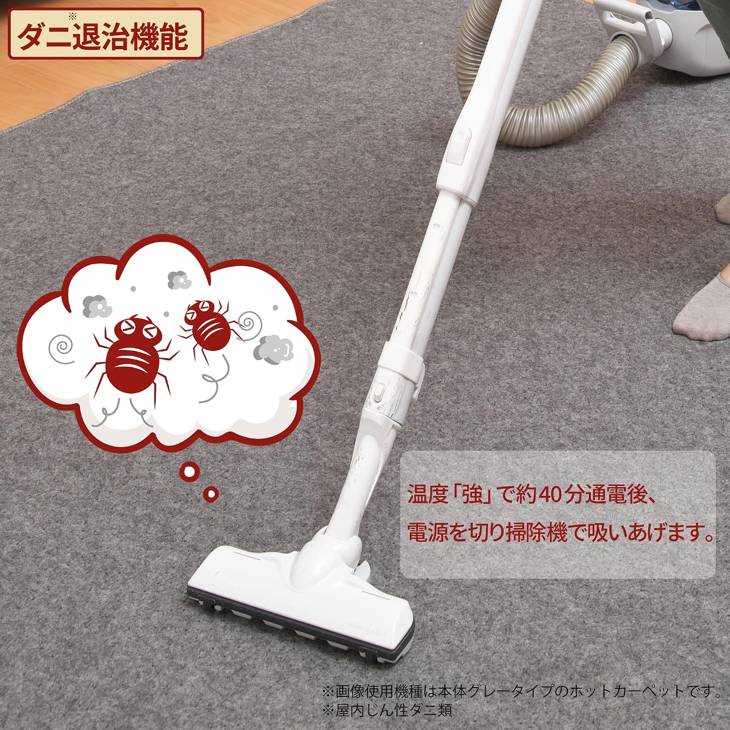 Detalle de ライフジョイ JPU201H ホットカーペット 2畳 176×176cm ダニ退治・面切替・8時間自動オフ