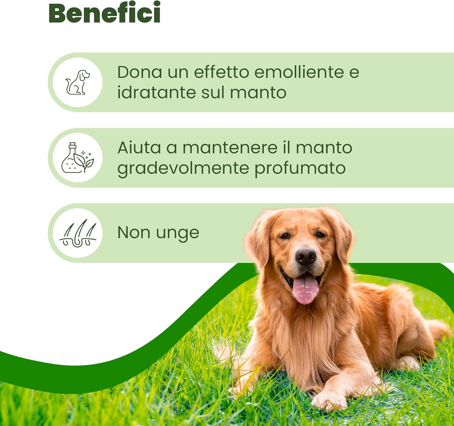 Thumbnail 2 de CAMON Spot-On Protection Cane (>11kg) – Fiale Neem, protezione naturale per cani oltre 11 kg
