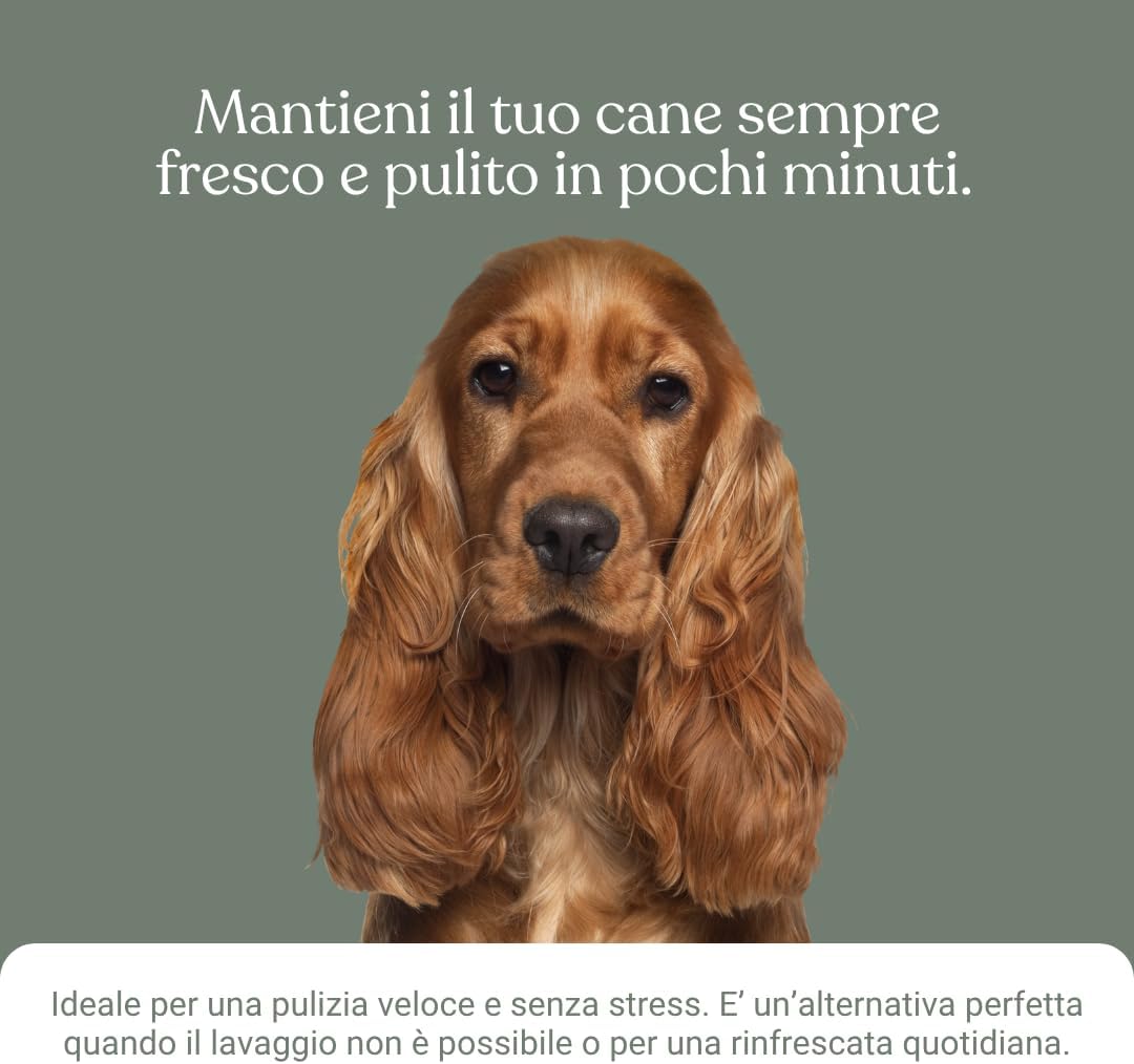 Detalle de Bau Shampoo Secco per Cani — Gel Detergente Senza Risciacquo con Aloe Vera, 250 ml