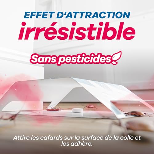 Detalle 2 de Gerobug pièges à cafards, lot de 12