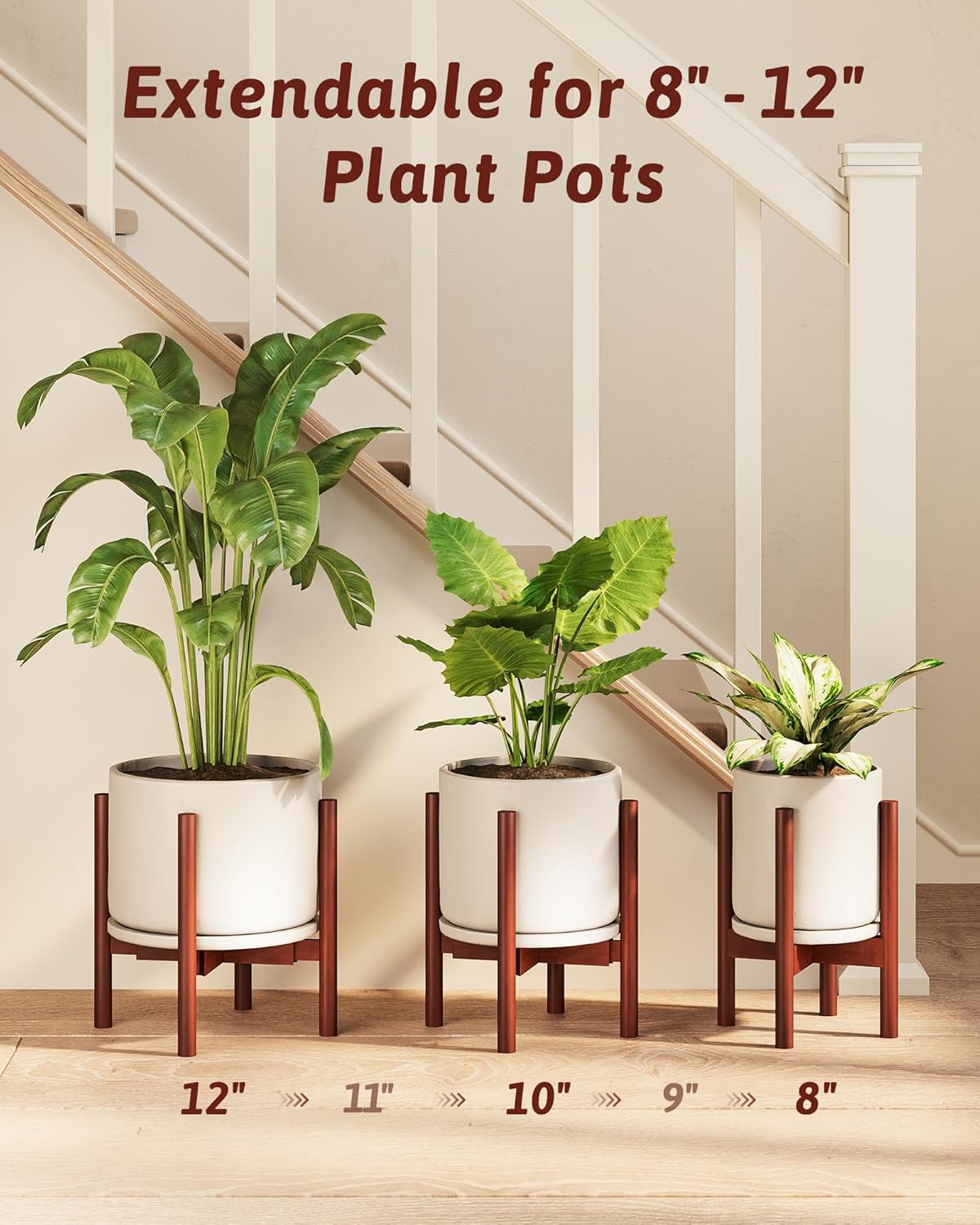 Thumbnail 6 de GENTINGBRO Adjustable Bamboo Plant Stand 8"
