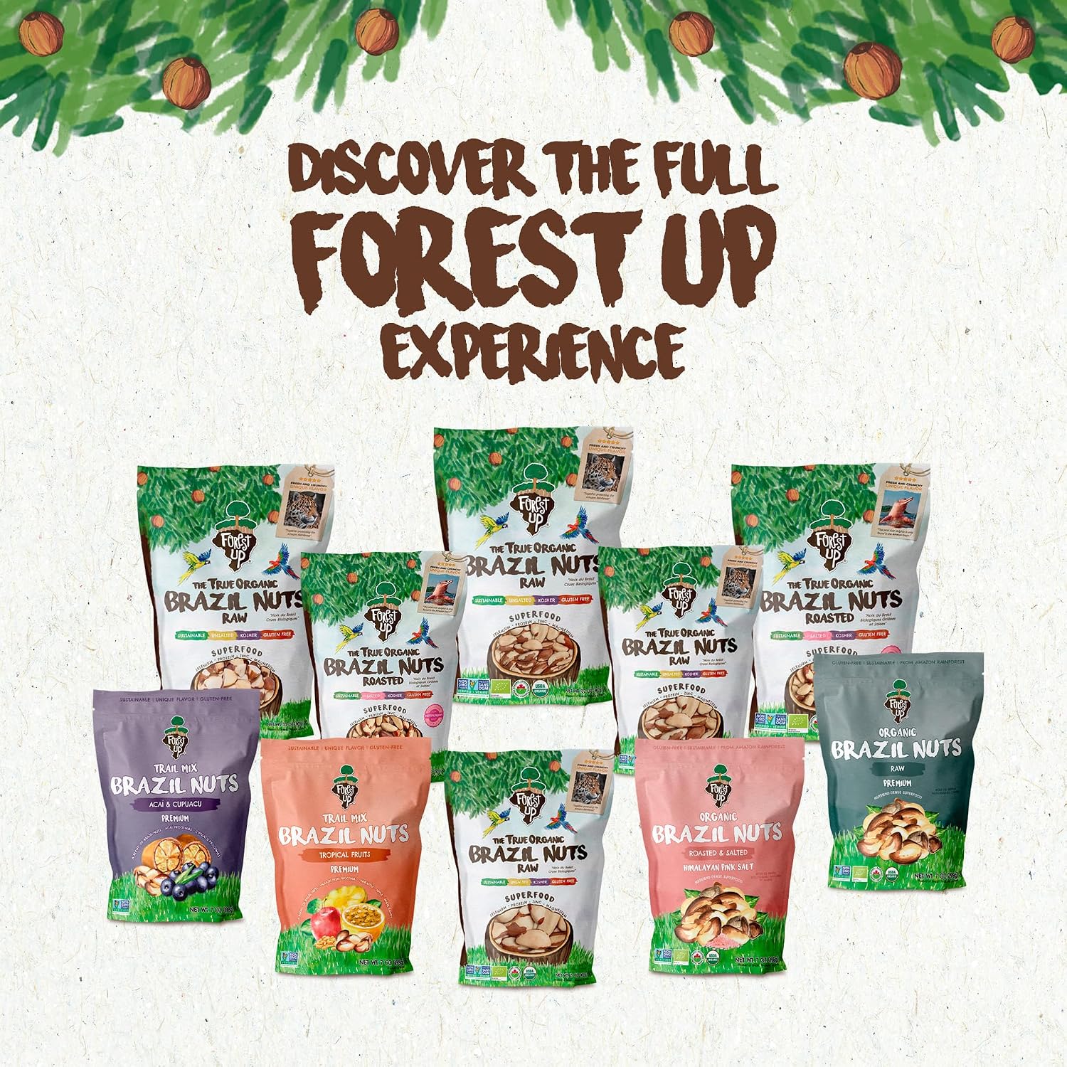Thumbnail 6 de Forest Up Organic Broken Brazil Nuts, 32 oz, Raw and Unsalted
