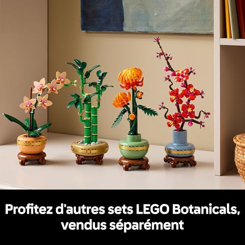 Thumbnail 6 de LEGO Botanicals L’Orchidée Miniature — Plante Artificielle en Pot Terracotta (10343)