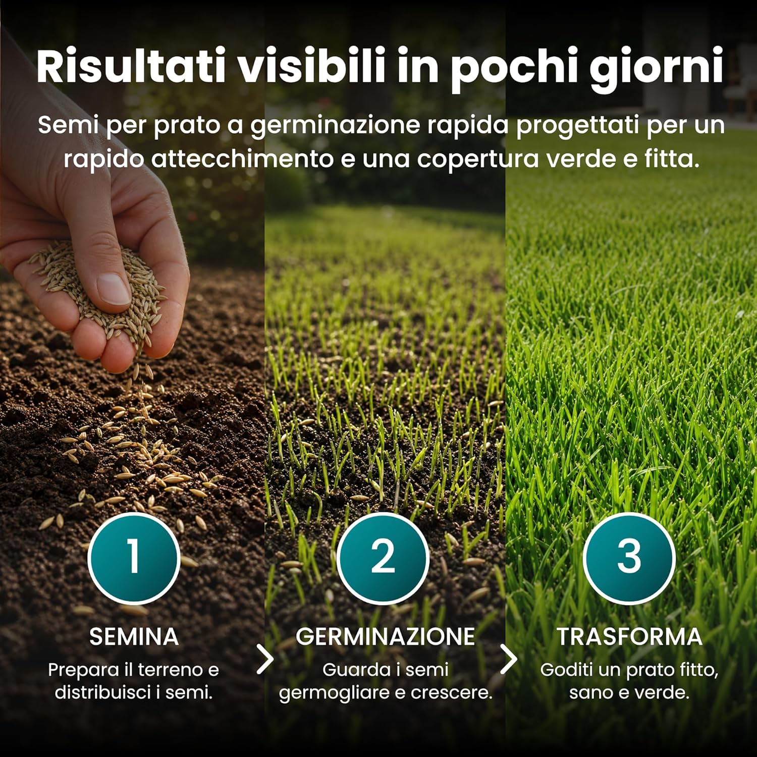 Thumbnail 3 de LERAVA TURBO Semi Loietto Perenne (30 m²) - Prato resistente e rapido, verde brillante