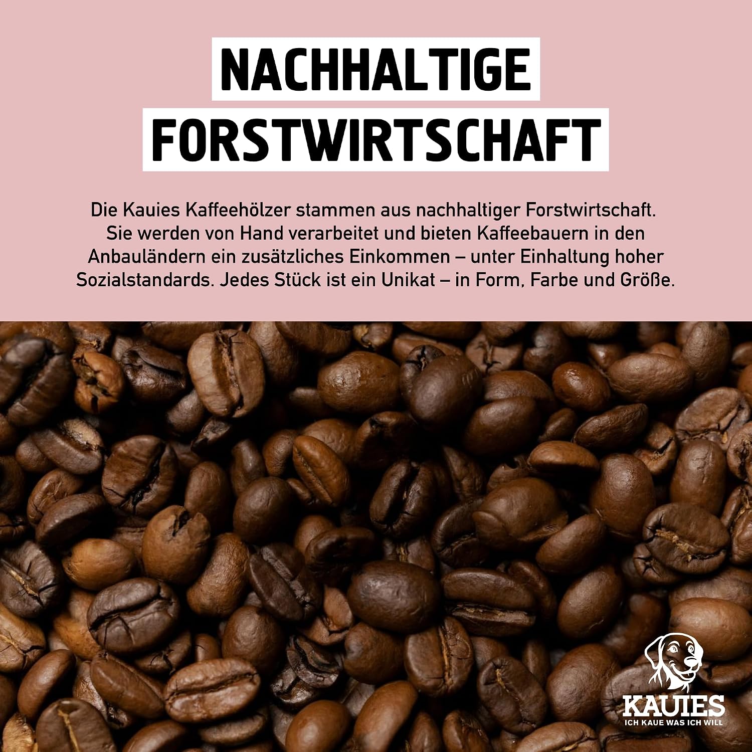 Detalle de Kauies Kaffeeholz für Hunde – natürliches, veganes Kauholz (koffeinfrei & kalorienfrei), 2er Pack Größe L ab 20 kg