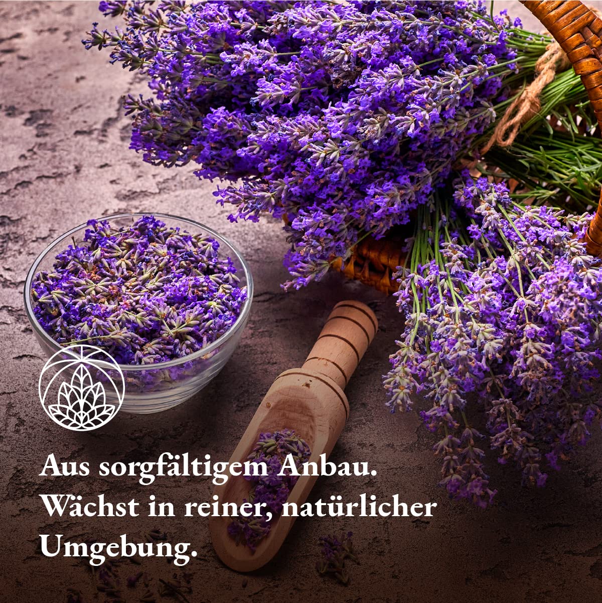 Detalle de Lavendel getrocknet Monte Nativo (250 g) – Lavendelblüten für Lavendeltee, 100% naturbelassen