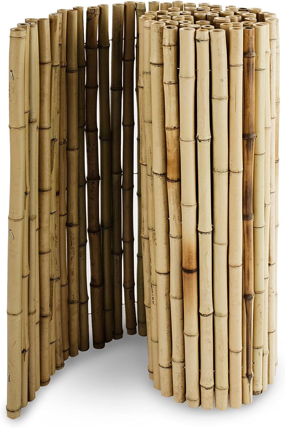 Thumbnail 1 de Floordirekt Bambus-Sichtschutzzaun 180 cm hoch × 200 cm Naturmaterial Vollrohr – Schilfmatte für Balkon, Terrasse oder Garten