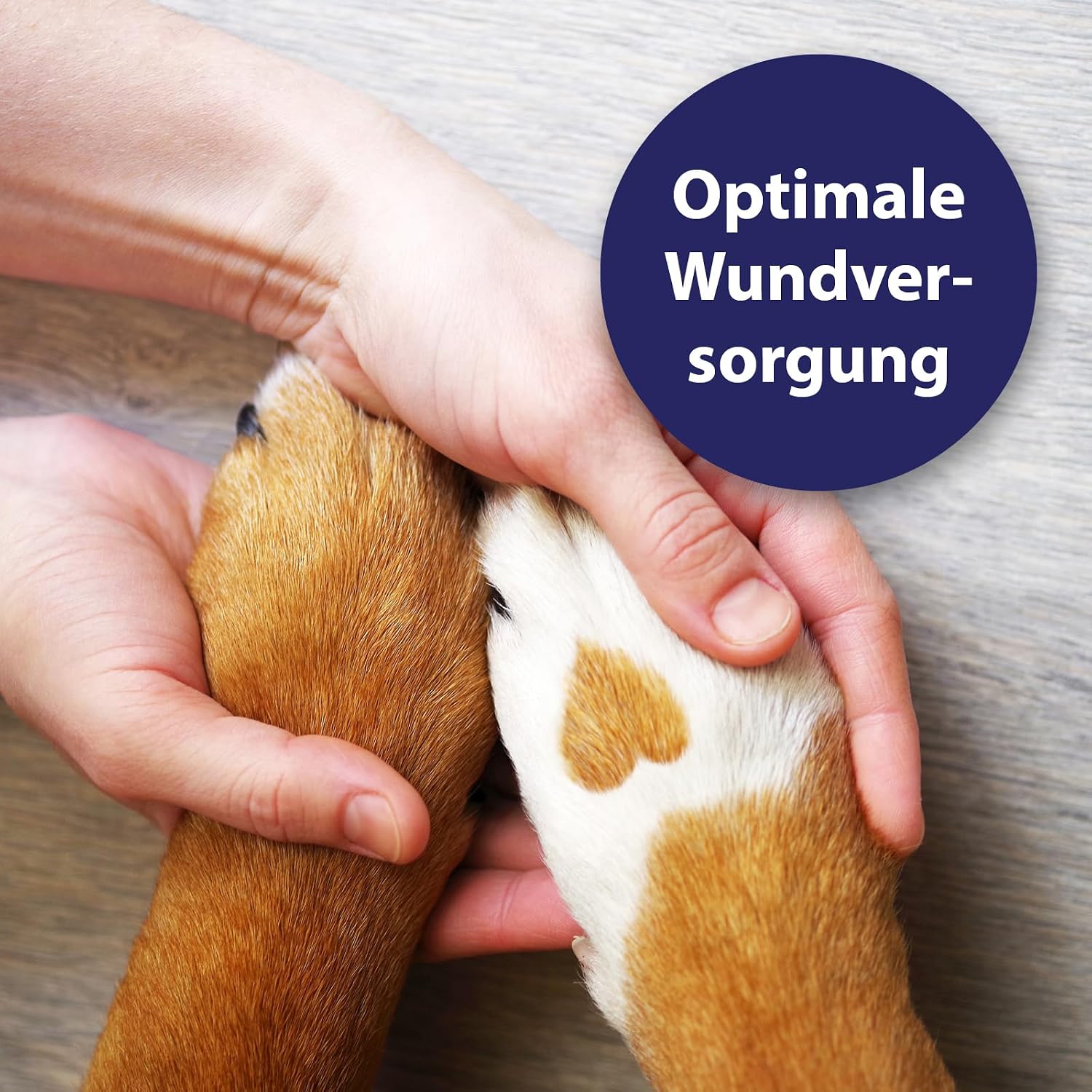Detalle de Canosept Wundspray für Hunde – 75 ml zur Reinigung und Pflege von Wundbereichen