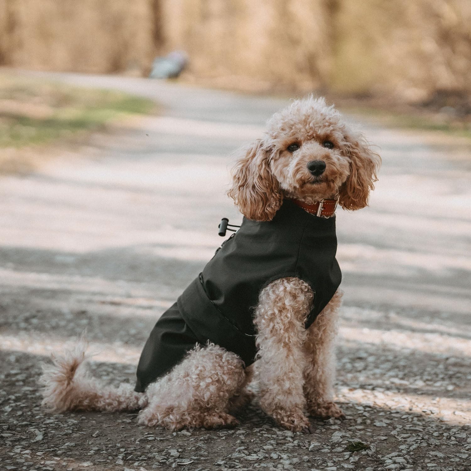 Thumbnail 2 de HUNTER Hunde-Regenmantel Milford (schwarz), Größe 80 – mit Öffnung für Geschirrträger