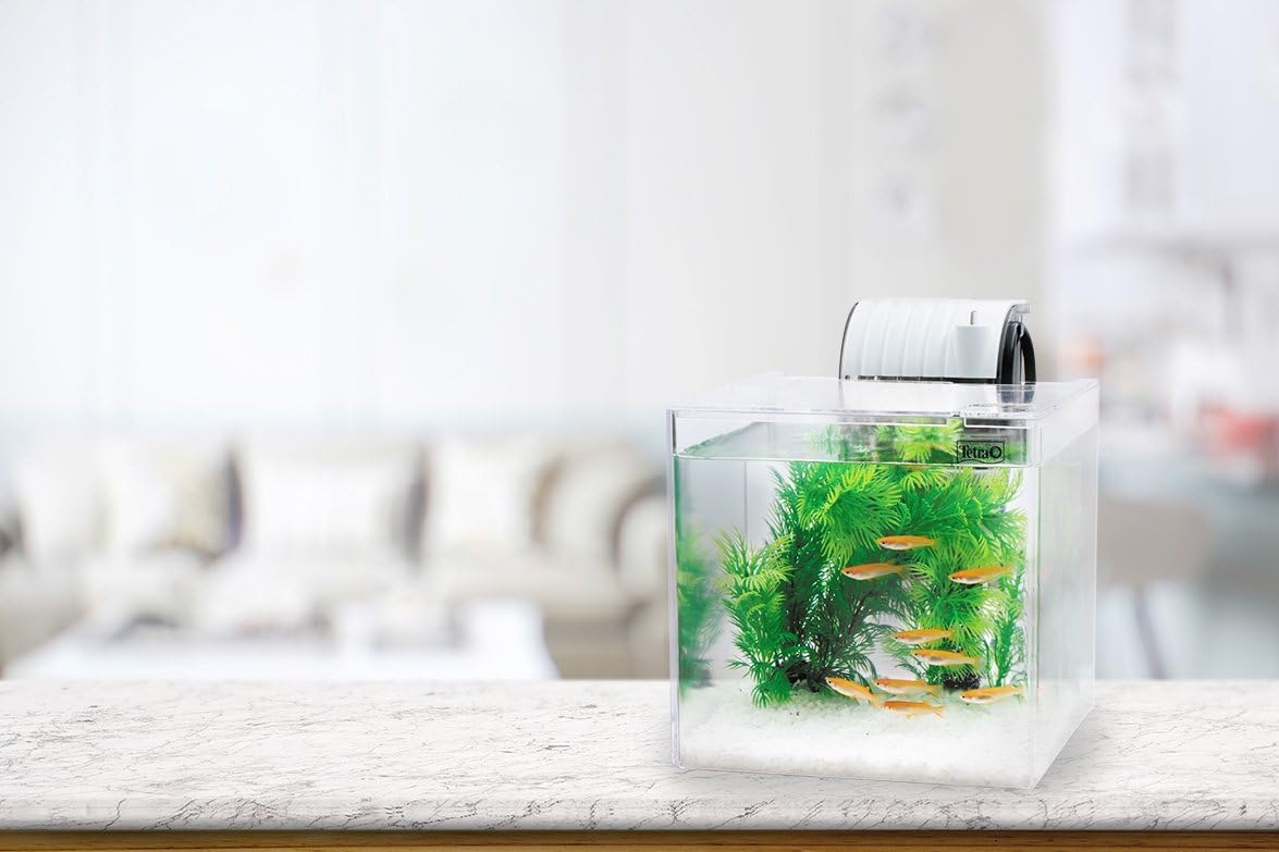 Thumbnail 2 de テトラ SF-17KF プラスチック水槽 メダカ飼育セット 5L・静かなフィルター付き