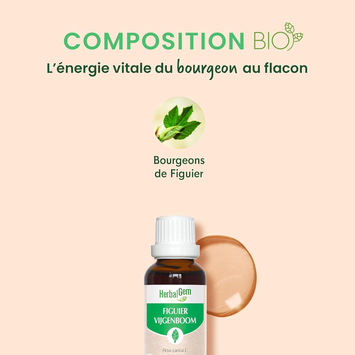 Thumbnail 2 de HERBALGEM Macérât-Mère Figuier Bio – Complément Gemmothérapie Concentrée, Extrait de Bourgeon Frais (30 ml)