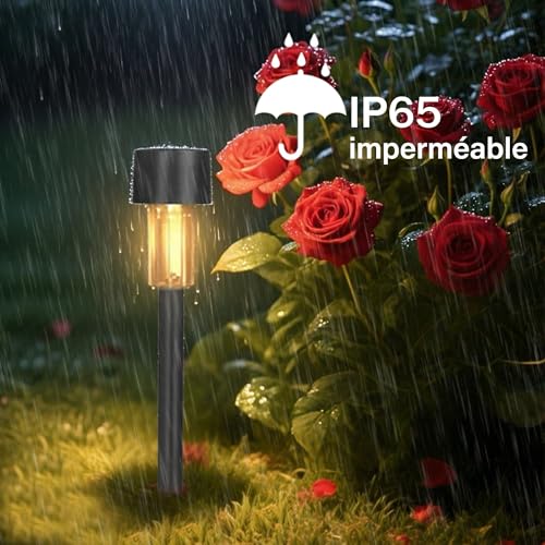 Thumbnail 3 de Hqynss Lampes Solaires Extérieur Jardin – Lot de 12, IP65, Éclairage Blanc Chaud 3000K