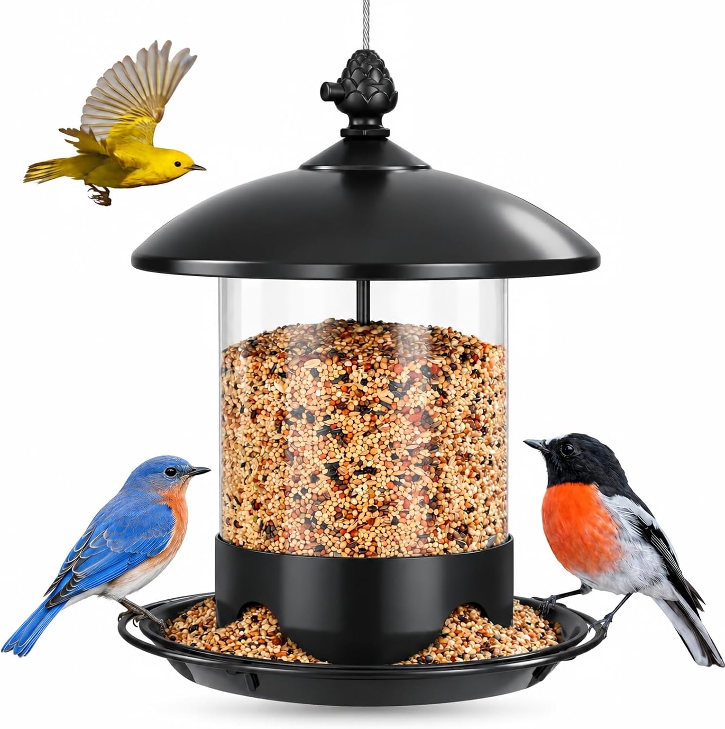 Detalle de Gbekery Metal Bird Feeder, 2 lb Capacity