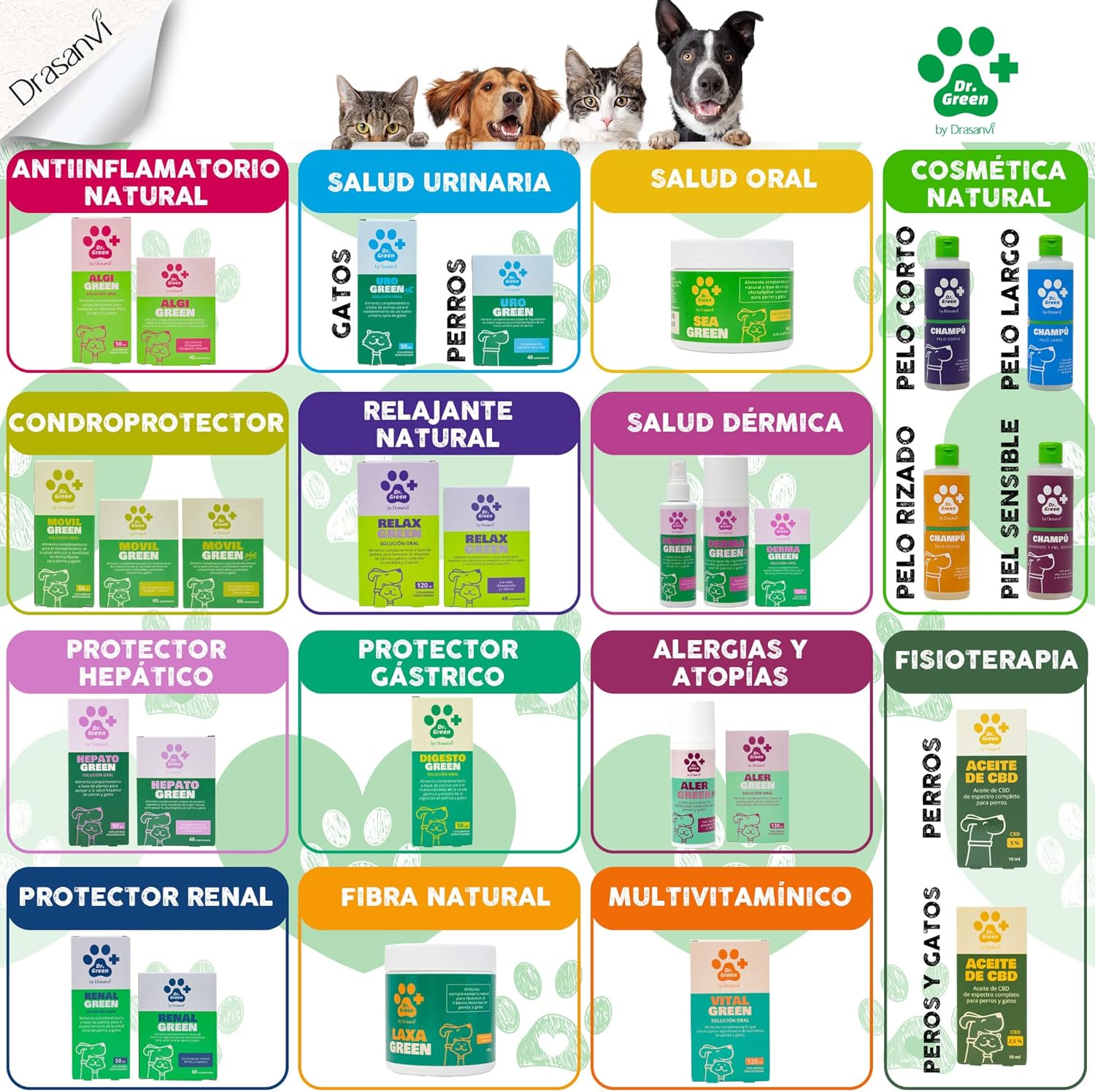 Thumbnail 6 de Drasanvi HEPATOGREEN Solución oral 50 ml
