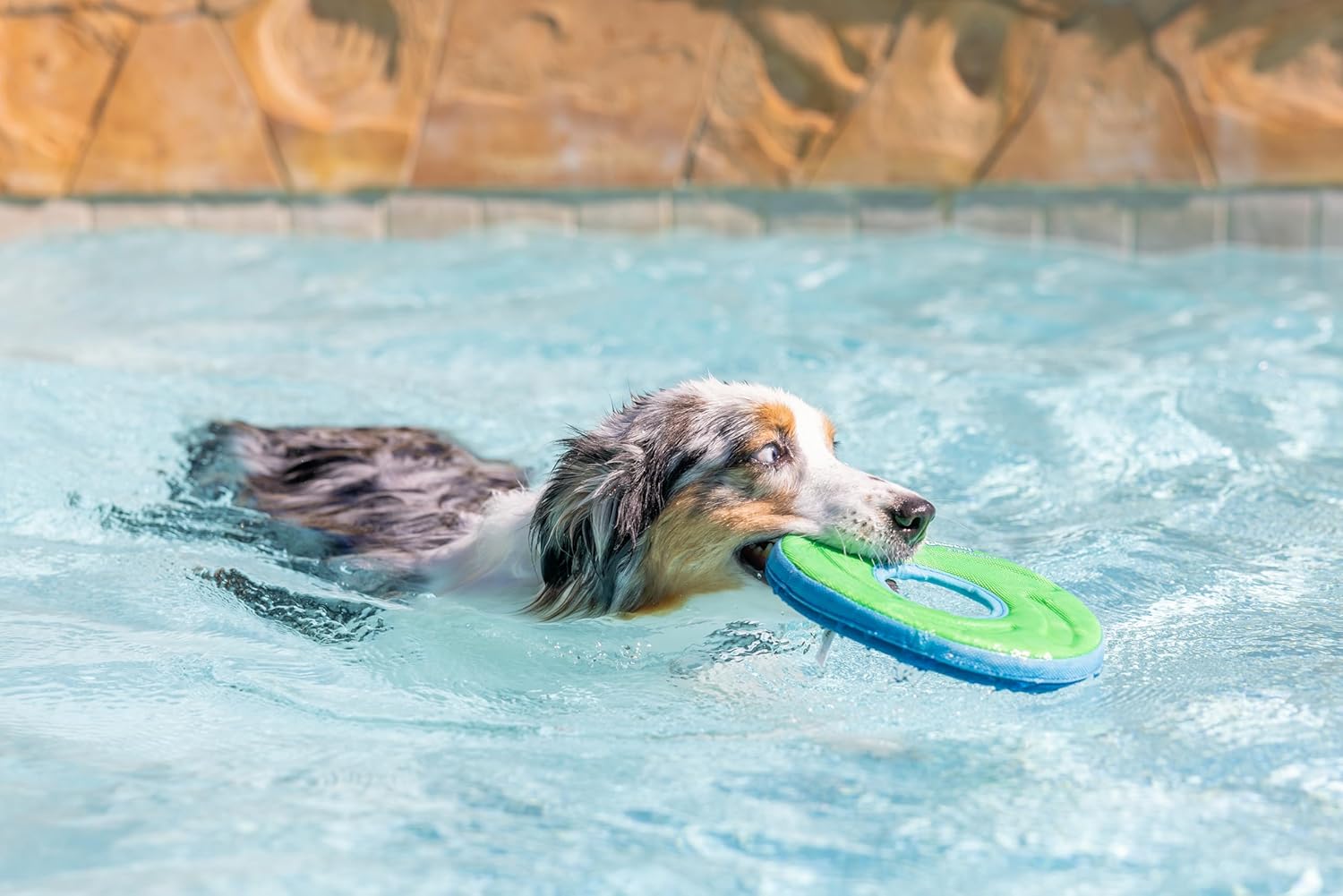 Thumbnail 5 de Chuckit Zipflight Taille M frisbee pour chien