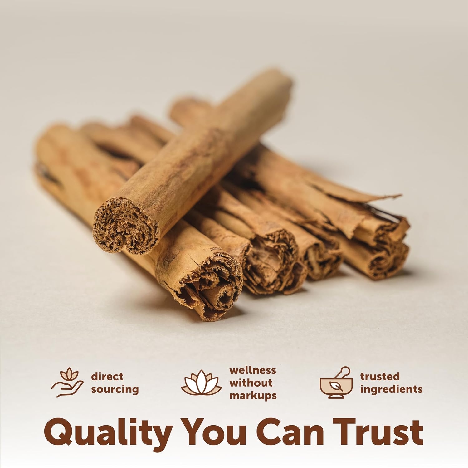 Thumbnail 5 de Micro Ingredients Ceylon Cinnamon Softgels, 300 Softgels