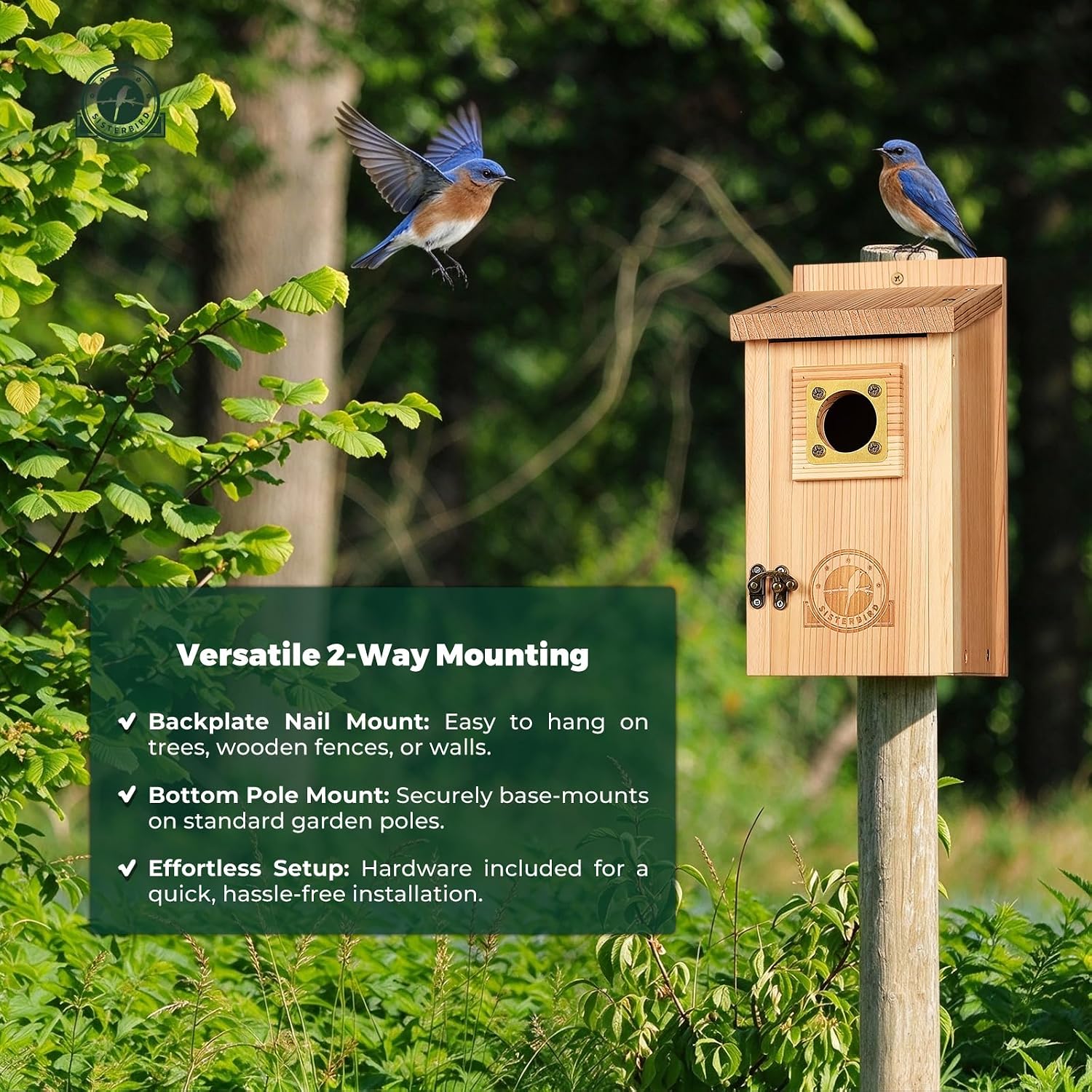 Thumbnail 6 de SISTERBIRD 2-Pack Cedar Bird Houses with Copper Guard — Outdoor Bluebird, Wren, Swallow, and Chickadee Homes