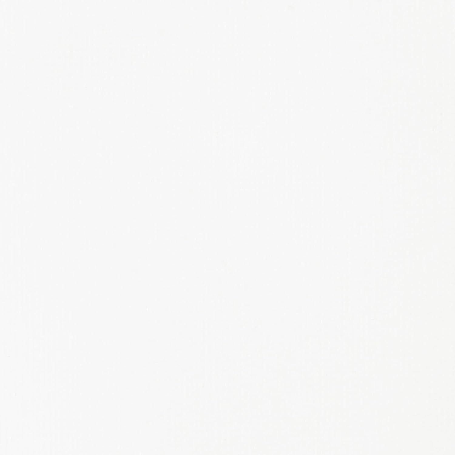 Thumbnail 1 de Liquitex Basics - Peinture acrylique monopigmentée Blanc de Titane, 250 ml