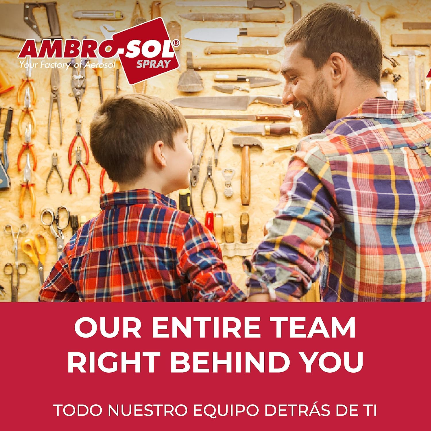 Detalle 1 de Ambro-Sol P301 Dissolve Silicone – Spray en Gel pour enlever silicone et résidus sans abîmer les surfaces