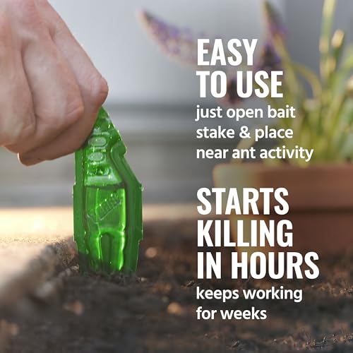 Detalle de Terro Outdoor Liquid Ant Bait Stakes, 12-Pack – Ready-to-Use Outdoor Ant Killer Trap