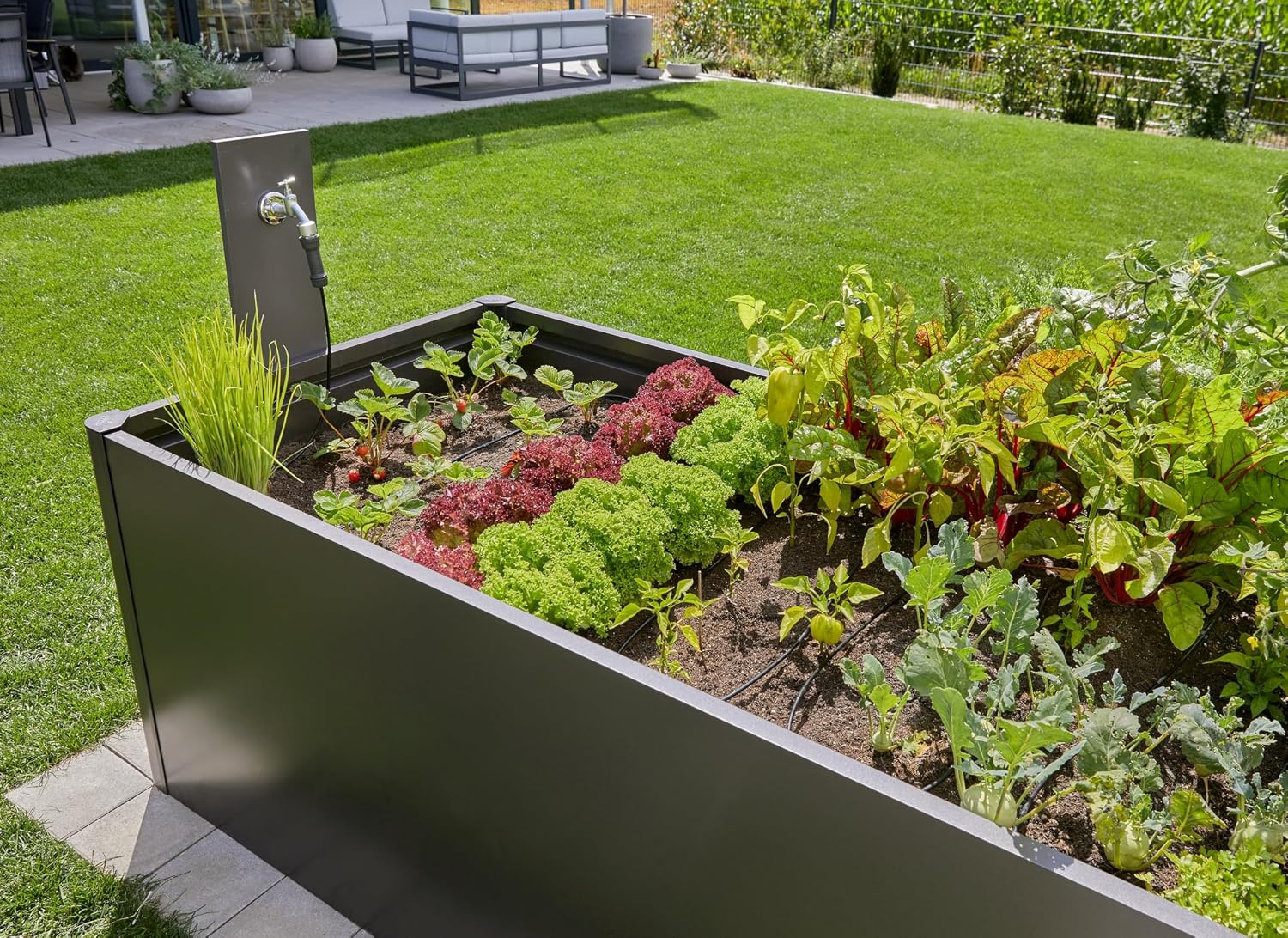 Thumbnail 6 de Gardena Micro-Drip-System Tropfbewässerung Set Hochbeet/Beet (35 Pflanzen) – 13455-20