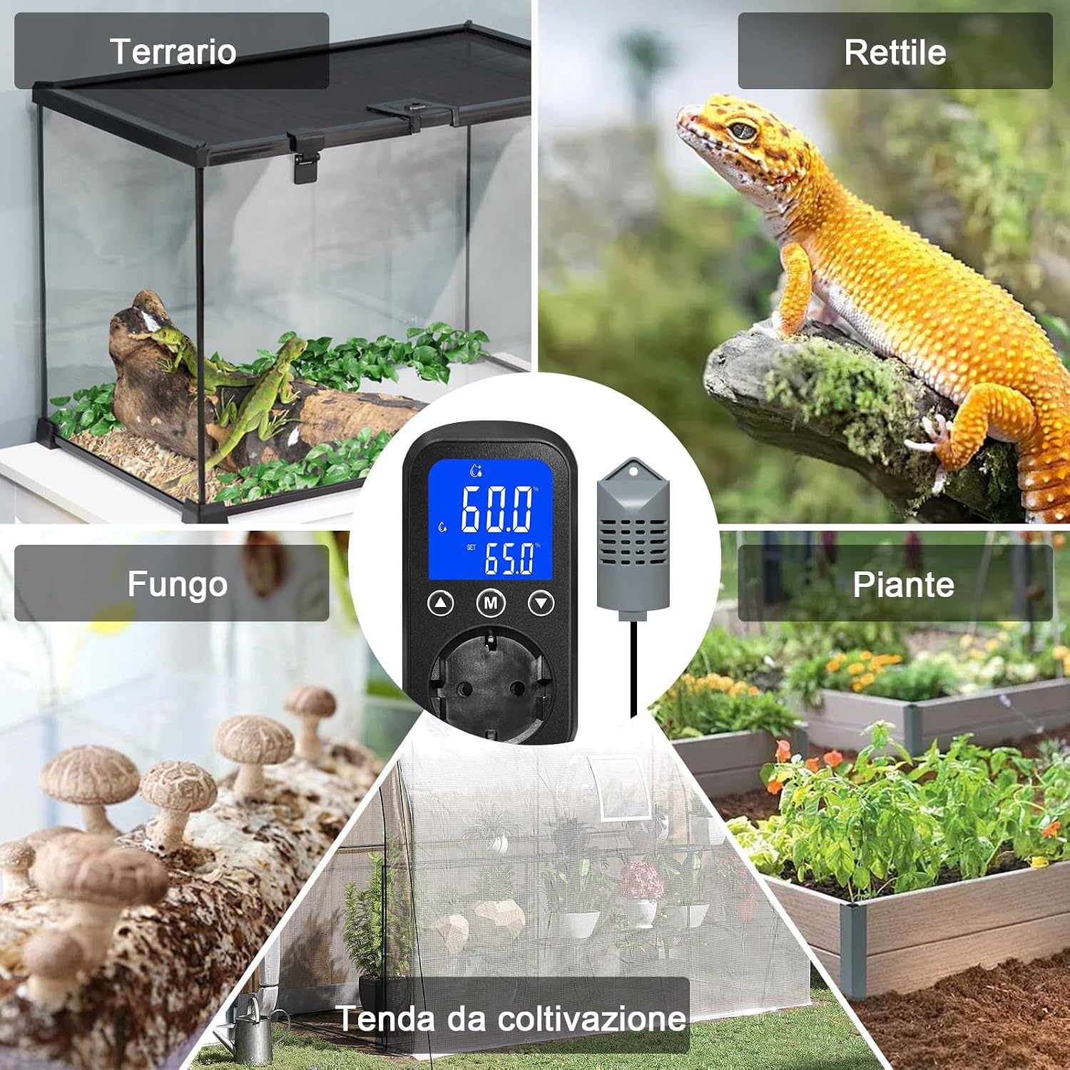 Thumbnail 5 de KETOTEK KT2200 regolatore di umidità per serra e coltivazione