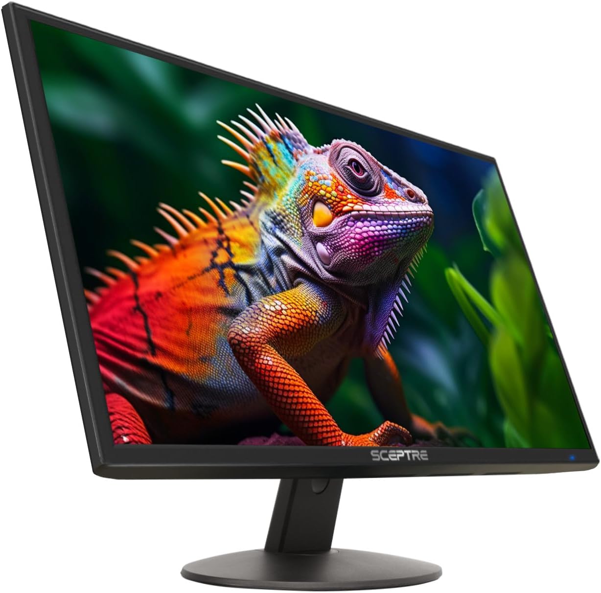 Thumbnail 6 de Sceptre 24-inch Prime Monitor E248W-19203R Series (100Hz, 100% sRGB, HDMI x2, VGA, built-in speakers)