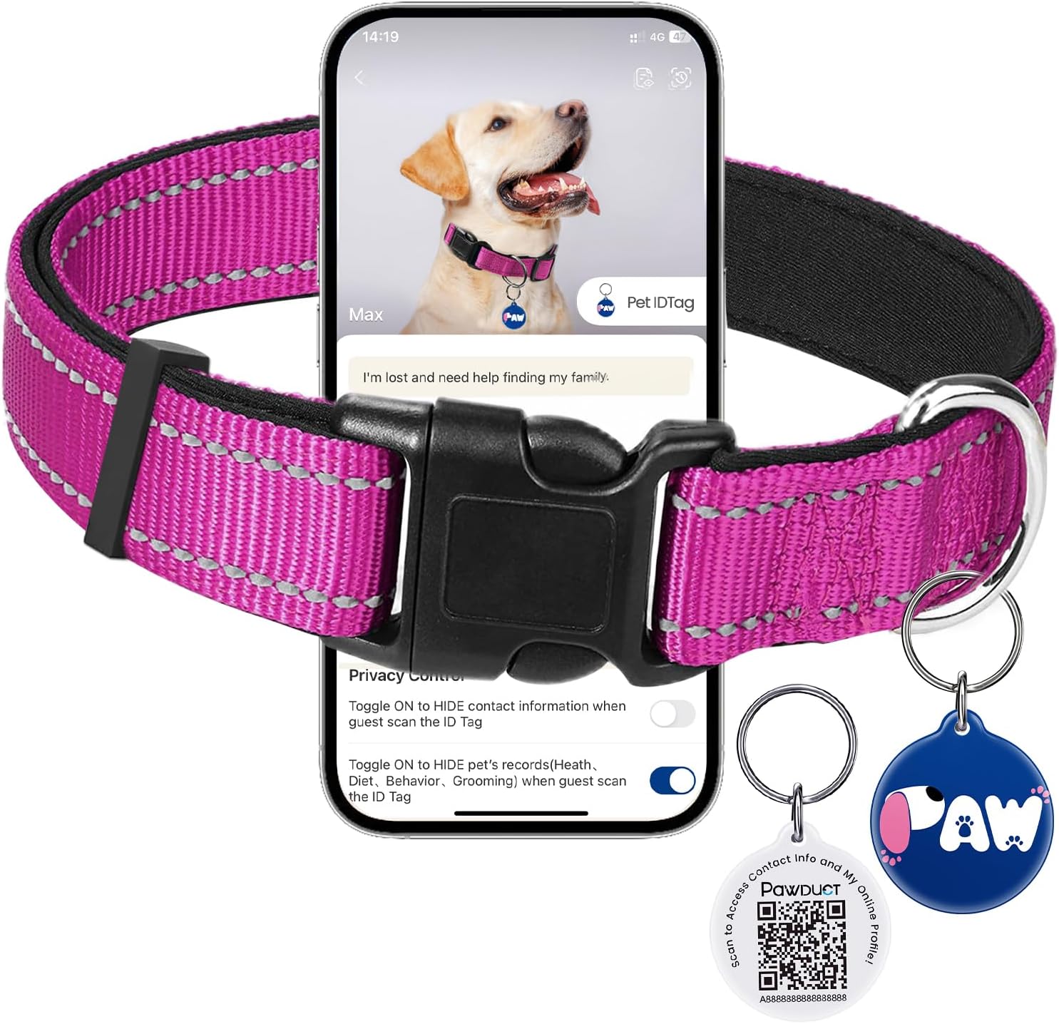 Detalle de PawView Halsband Hund Verstellbar – Weich gepolstertes Neopren-Nylon Halsband mit QR-Code-Hundemarke (S: 2 cm breit, 30–40 cm) Magenta