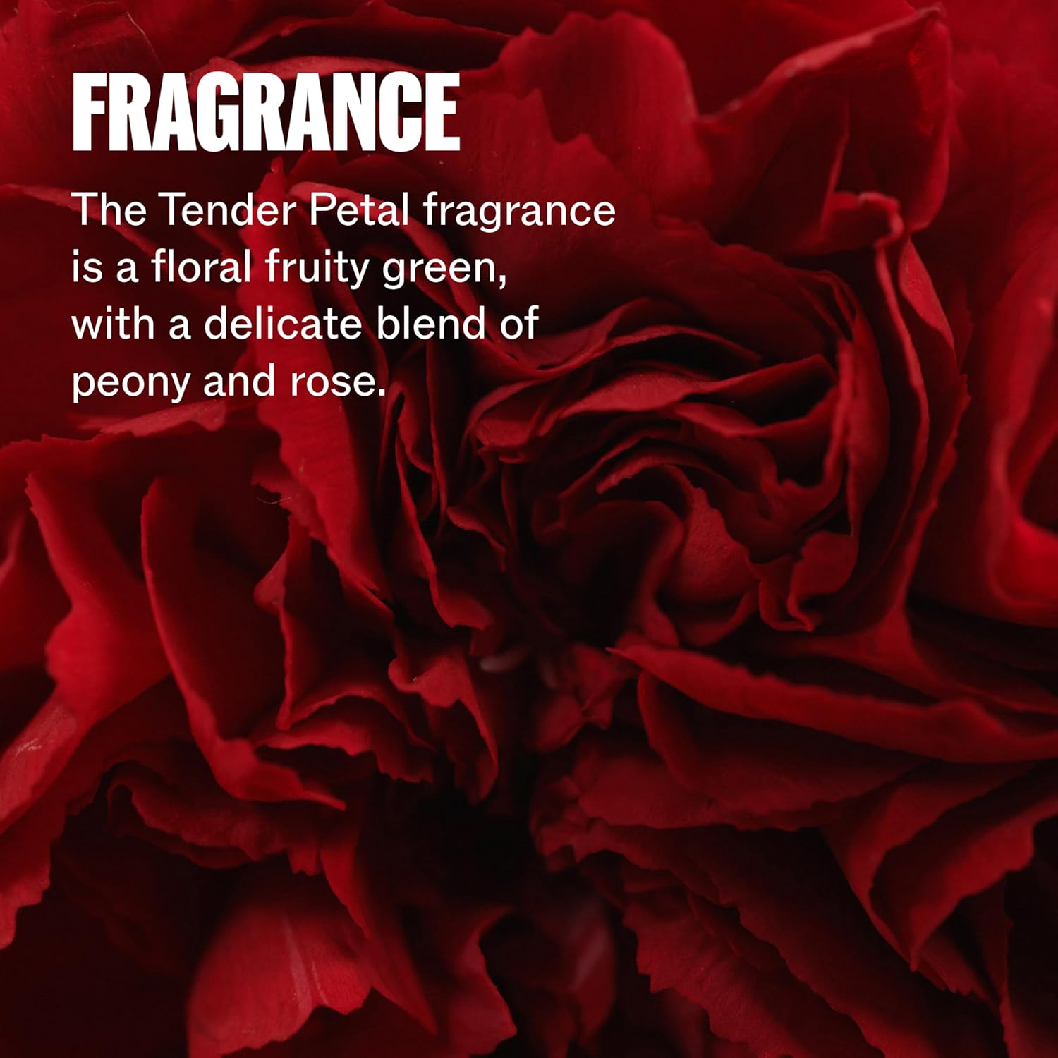 Thumbnail 6 de Wella Professionals ULTIMATE REPAIR Mask with AHA & Omega-9 for highly damaged hair