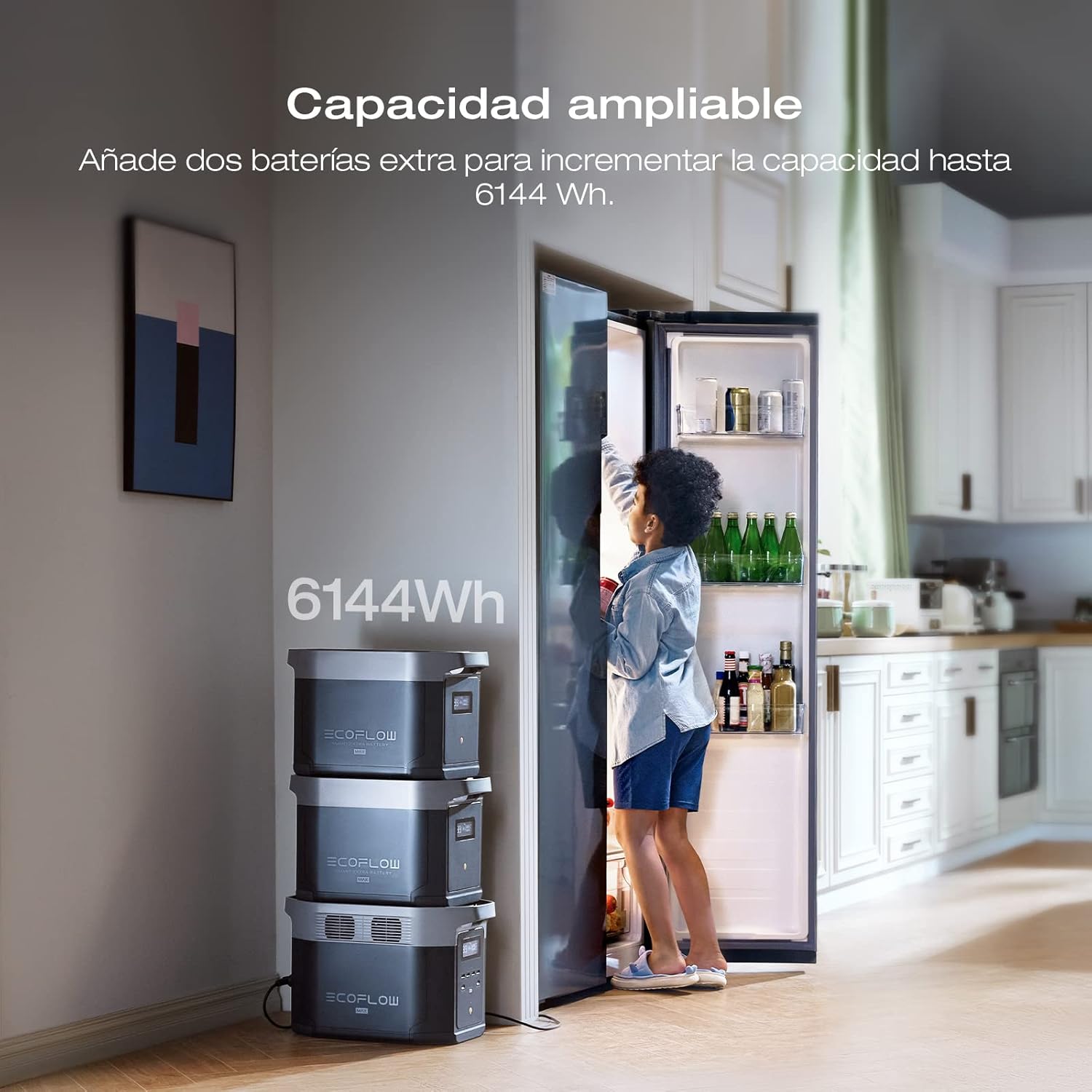 Thumbnail 2 de EcoFlow DELTA 2 Max 📦 Batería LFP 2048Wh, Generador Solar