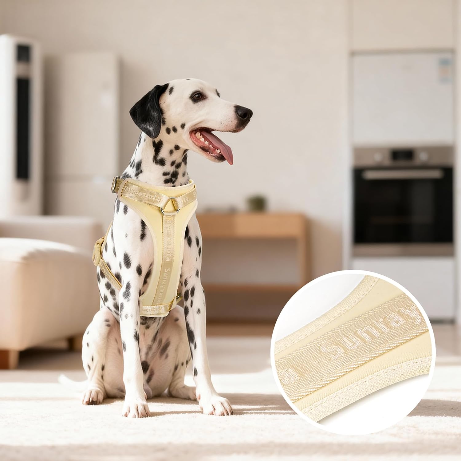 Detalle de Sunraymascota Pettorina per cani con imbottitura in lycra: traspirante, regolabile e anti-tiro (taglia M)