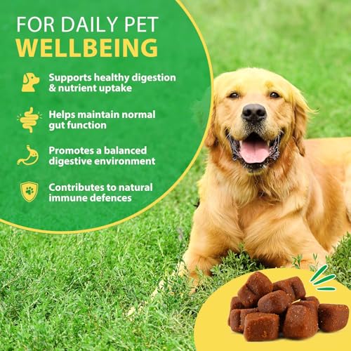 Detalle de Probiotici per Cani Bieyoc: Gommosi probiotiche con enzimi digestivi per supportare intestino, immunità e salute generale