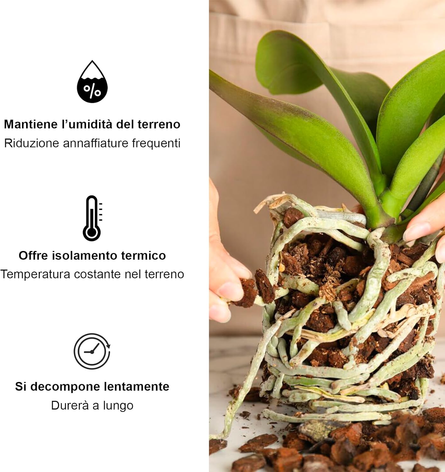 Thumbnail 2 de Kalapanta Bark Per Orchidee Linea Professionale, 2 Litri – Substrato in Corteccia di Pino Marittimo 100% Naturale