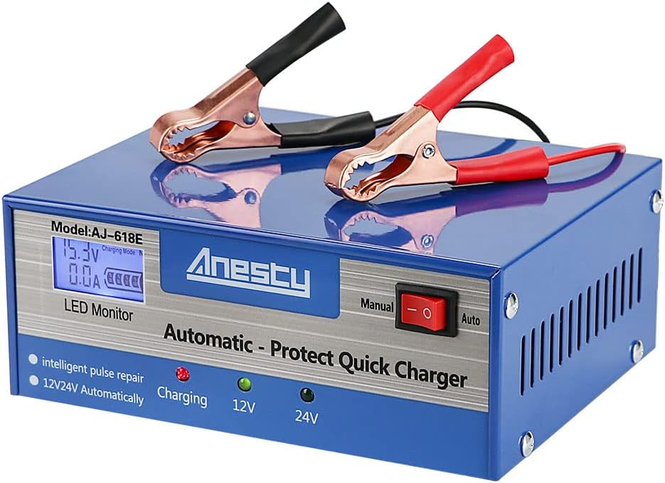 Detalle de Car Battery Charger 12V/24V 130W
