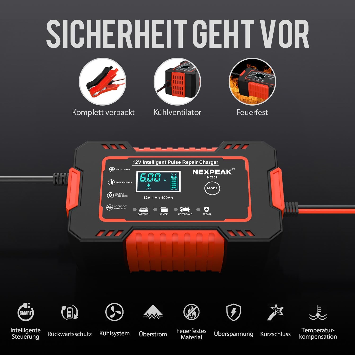 Detalle 2 de 6A Autobatterie Ladegerät 12V – Smart, vollautomatisch mit Temperaturkompensation