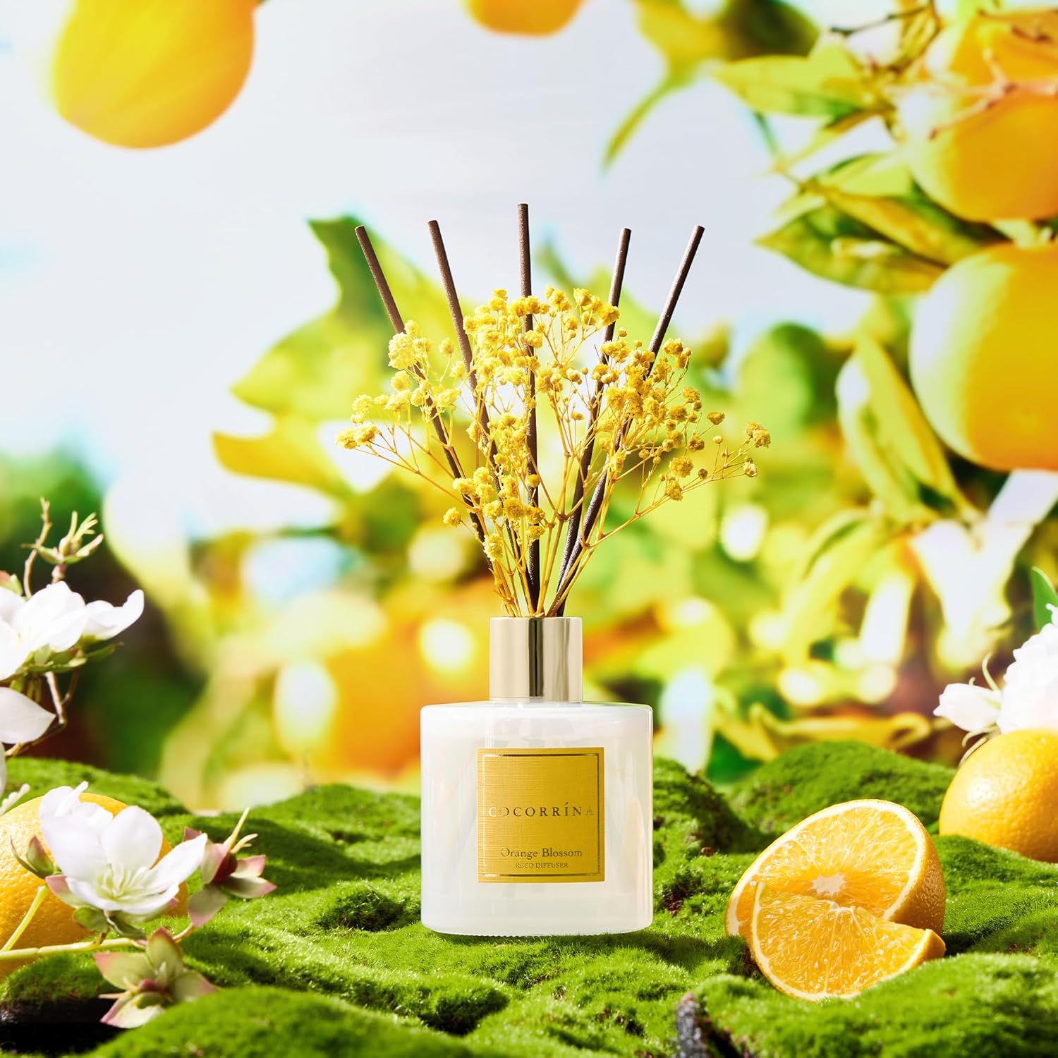 Thumbnail 5 de COCORRÍNA Raumduft Orange Blossom Reed Diffuser, 200 ml mit 8 Duftstäbchen