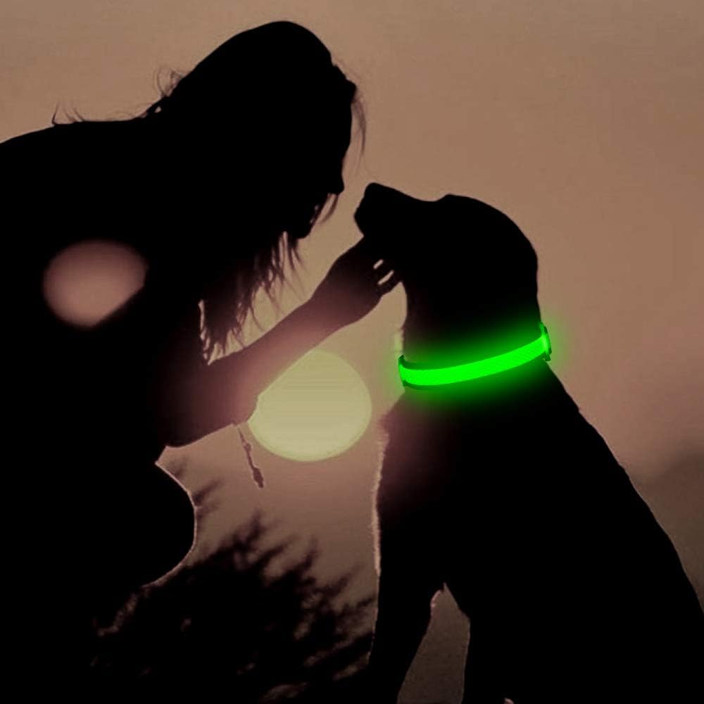 Detalle 2 de YFbrite Leuchtendes Hundehalsband L