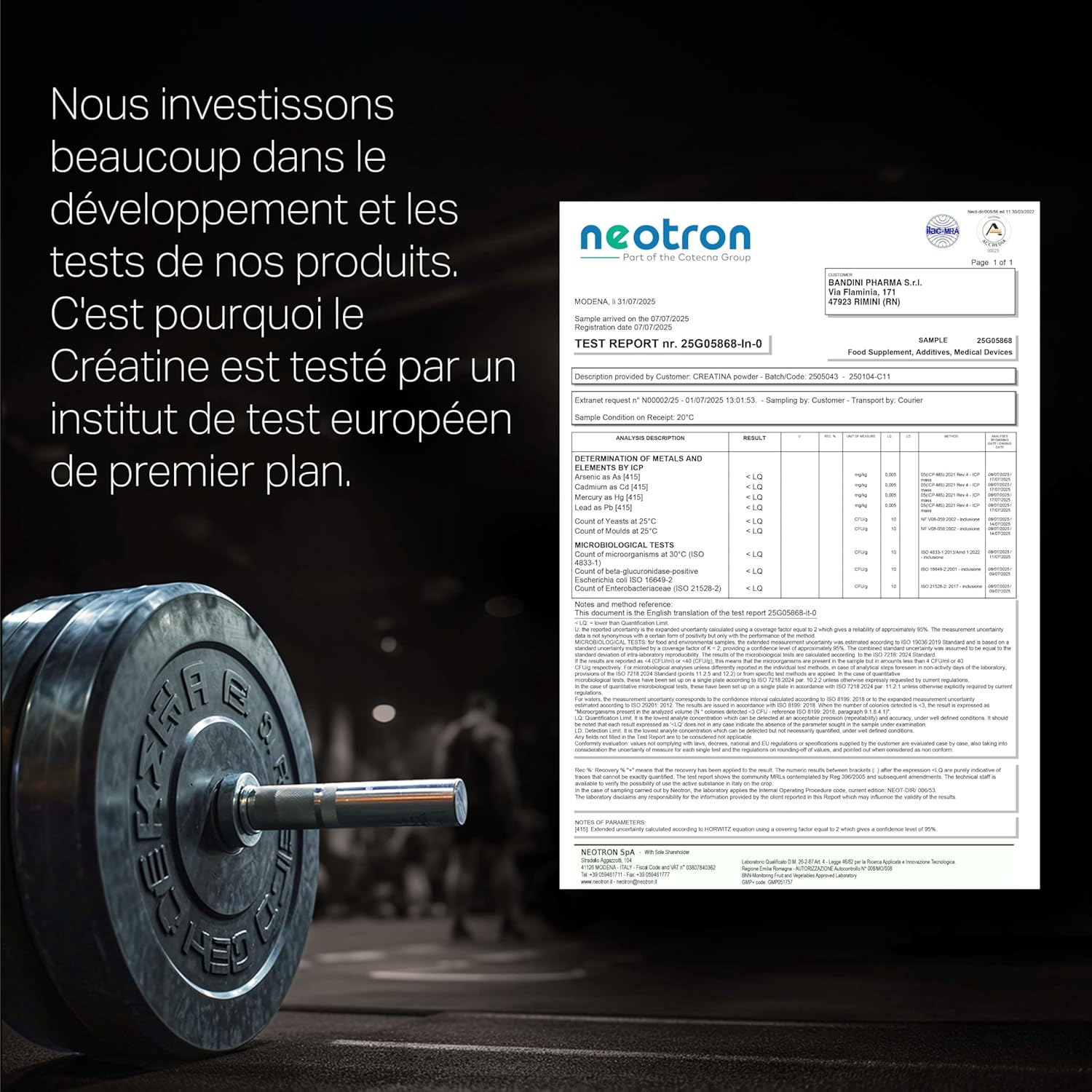 Thumbnail 3 de Bandini Créatine Monohydrate en poudre 500 g (147 portions) – 100% pure, doseur inclus