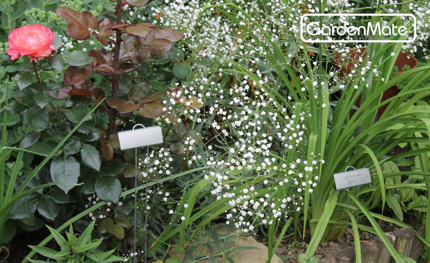 Thumbnail 5 de Gardenmate Set Di 25 Poster Etichette 30 cm