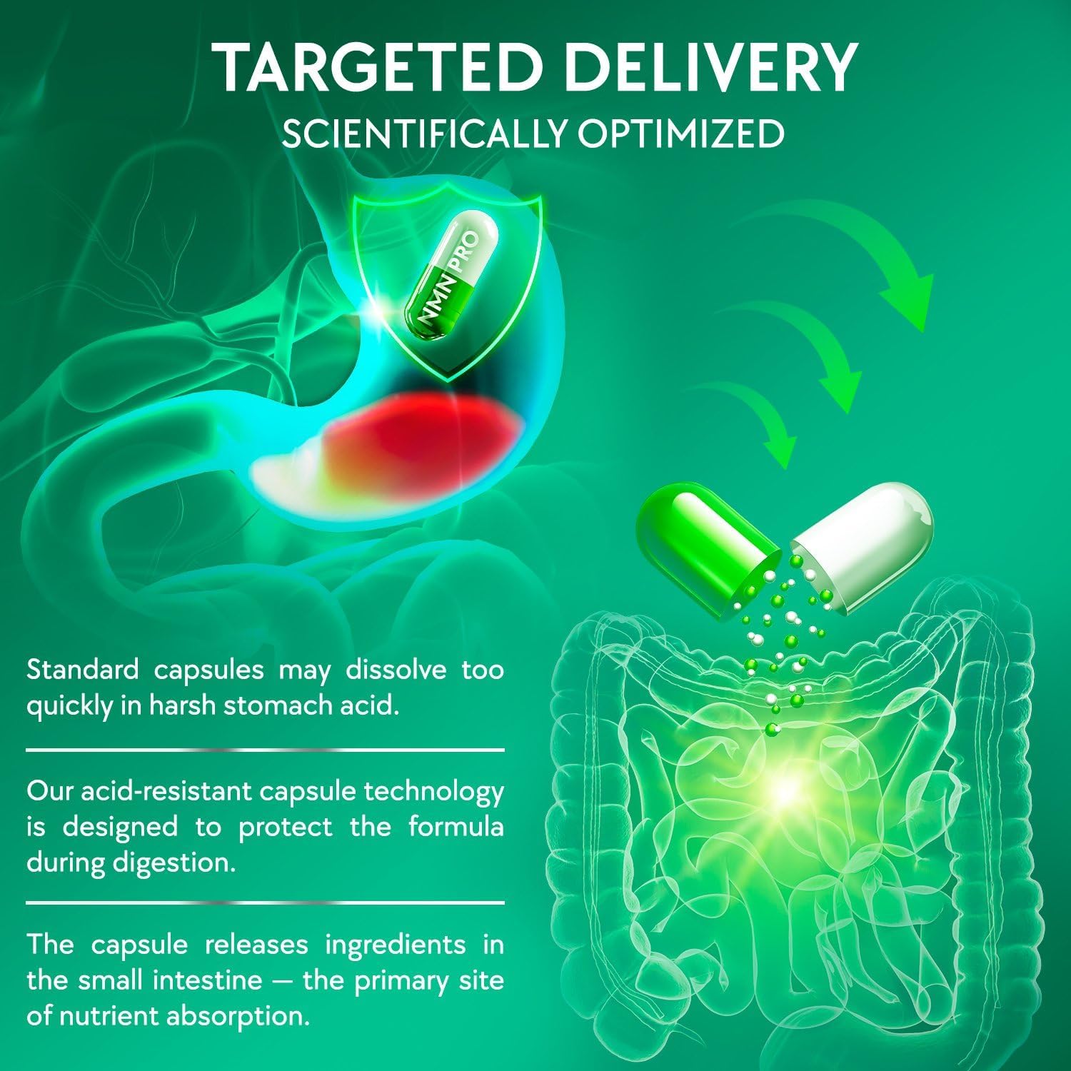 Detalle de NMN Supplement 500 mg