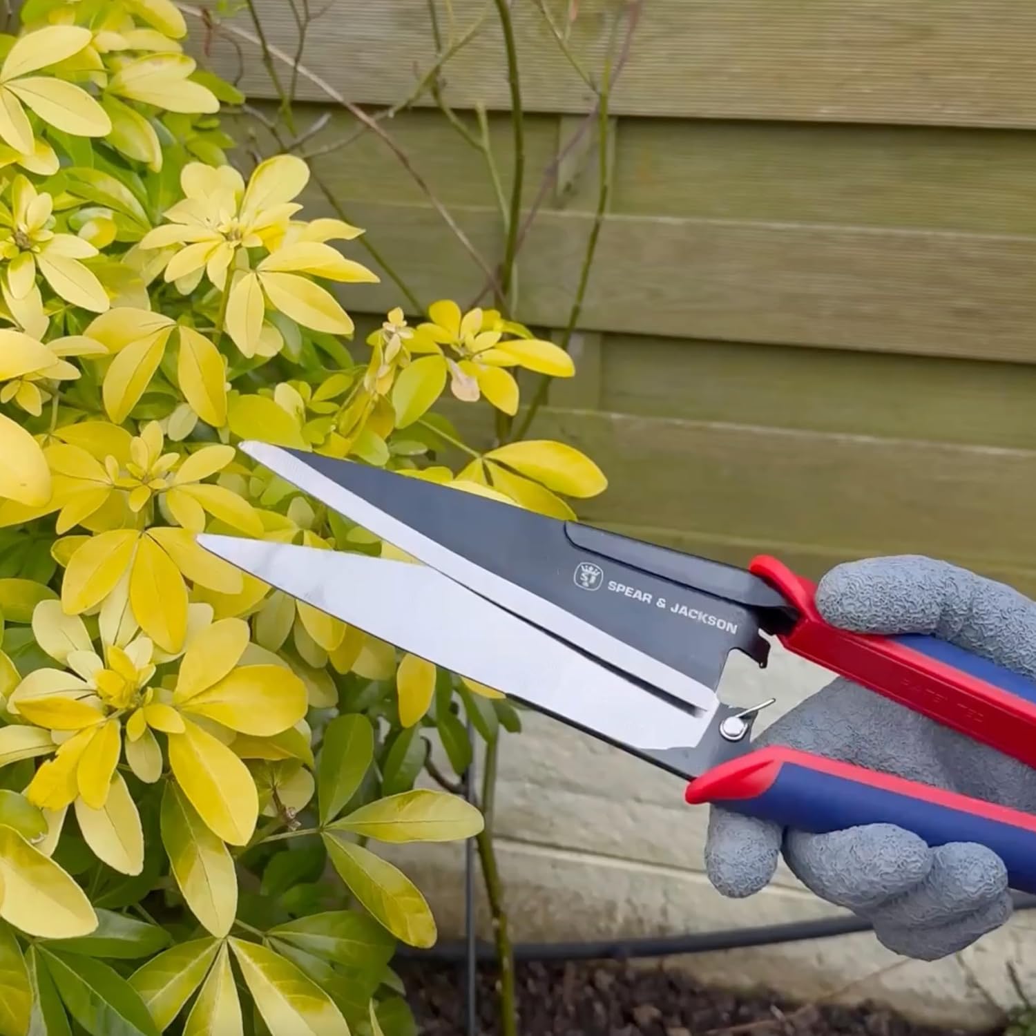 Thumbnail 4 de Spear & Jackson 4855TS Razorsharp Advantage Topiary Shear