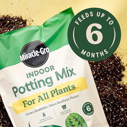 Detalle de Miracle-Gro Indoor Plant Grow, Feed & Protect Bundle