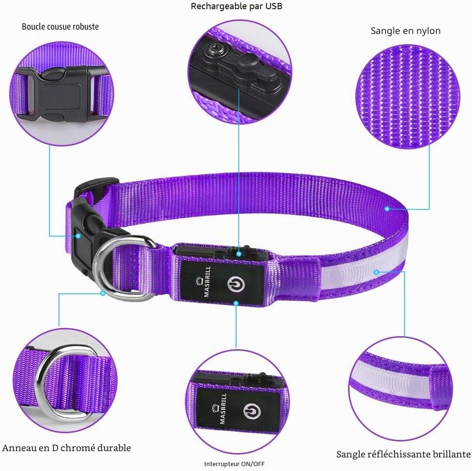 Detalle de MASBRILL Collier Lumineux pour Chien – Rechargeable, Étanche et Réglable (3 Modes, Violet, S)