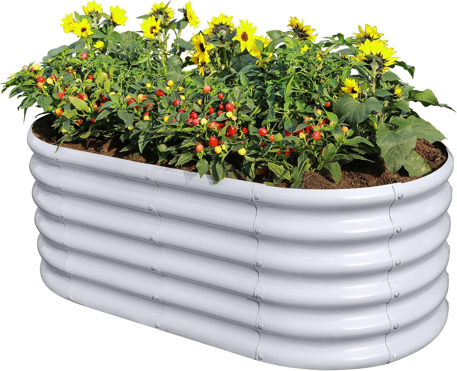 Thumbnail 6 de Land Guard raised garden bed, galvanised steel