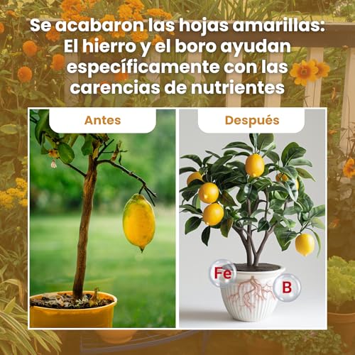 Detalle 2 de LERAVA Abono cítricos (800 g): fertilizante orgánico para limoneros, naranjos y más, con vaso dosificador