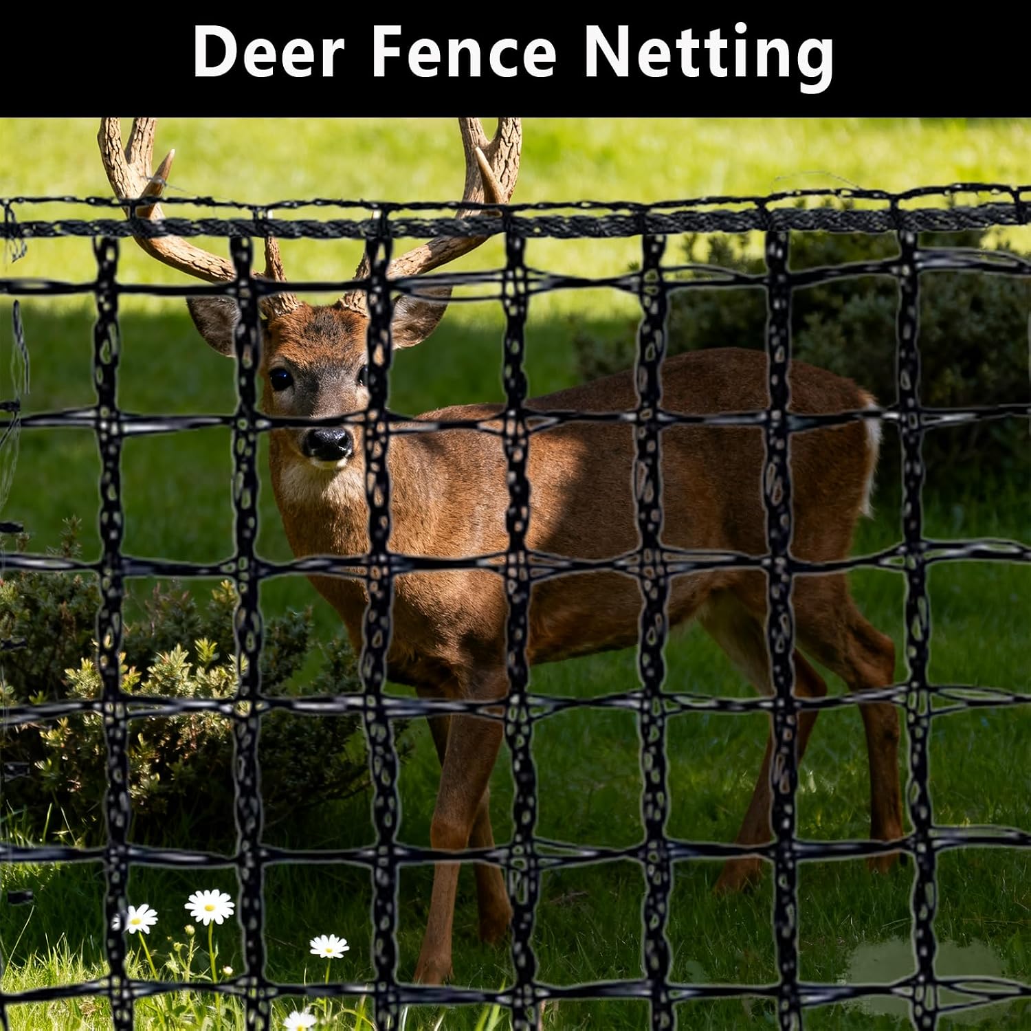 Detalle de POYEE PJBFG-NET-B-5-100 Deer Fence Netting, 5 x 100 ft HDPE Mesh