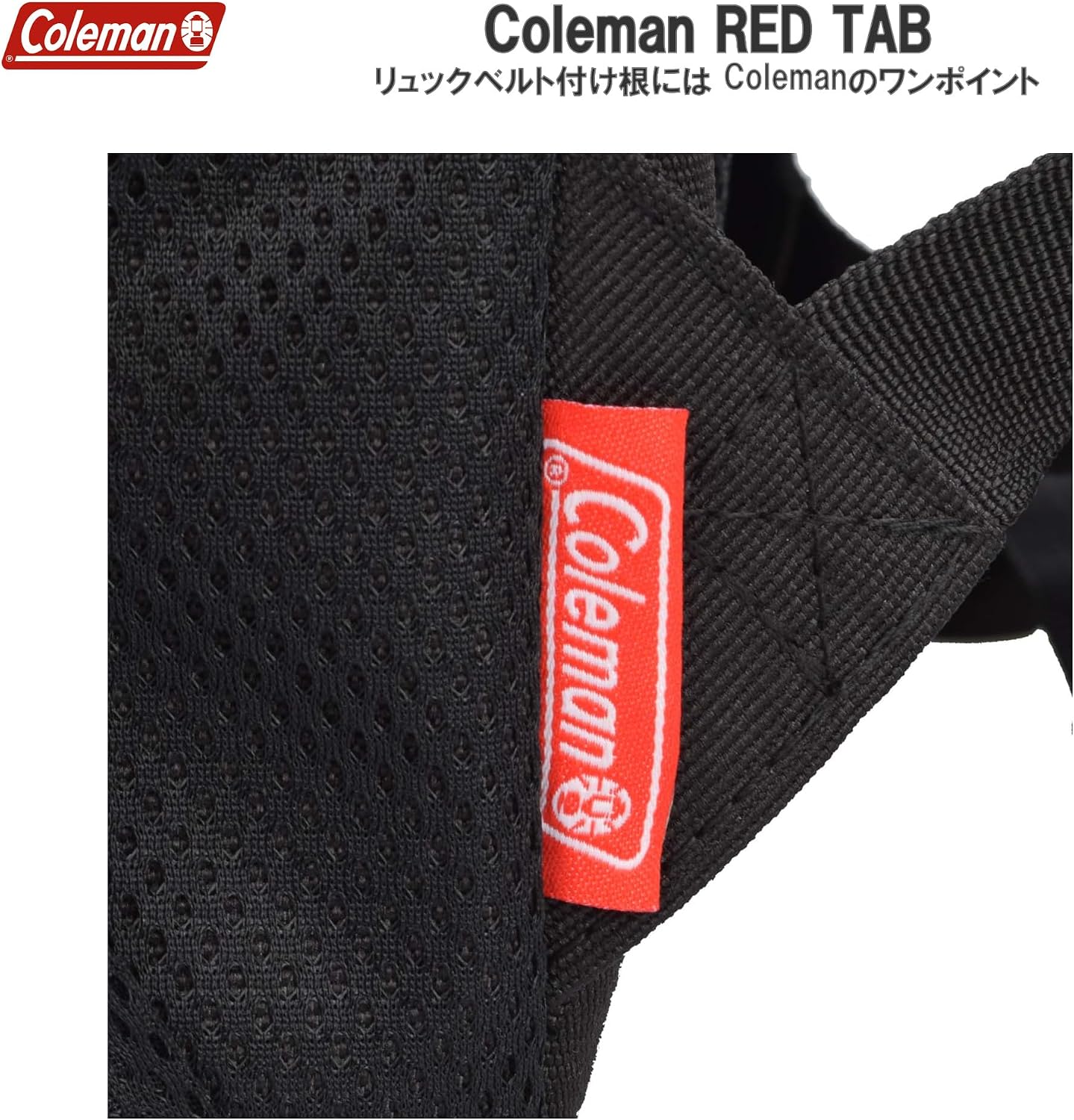 Thumbnail 6 de エツミ VCO-4836 Coleman カメラリュック 12L サイドアクセス・2気室/A4対応