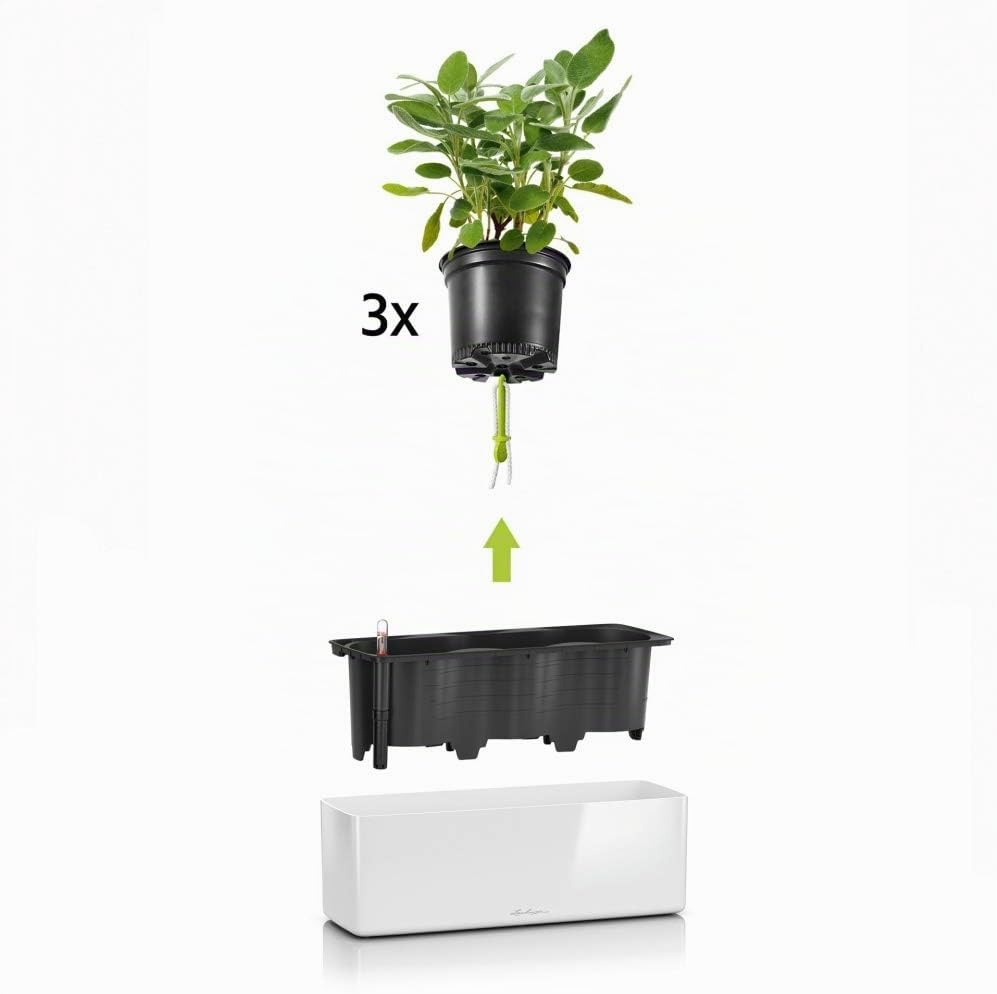 Thumbnail 6 de LECHUZA Cube Glossy Triple anthrazit Selbstbewässernder Pflanzkübel