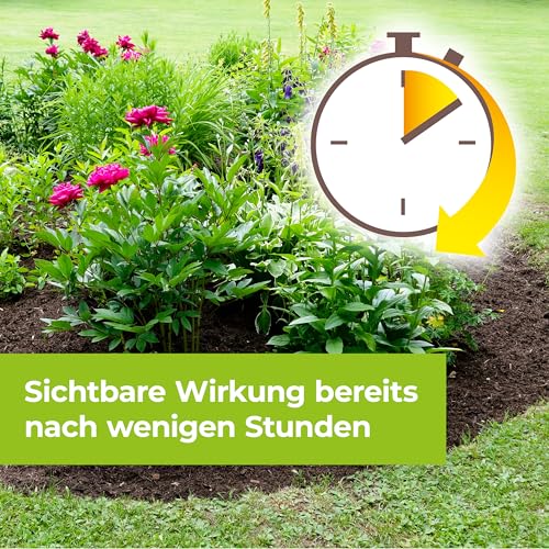 Thumbnail 6 de PROTECT GARDEN Permaclean Duo Unkrautvernichter, 1000 ml Konzentrat – Zweifach-Wirksystem gegen Unkraut, Algen und Moose